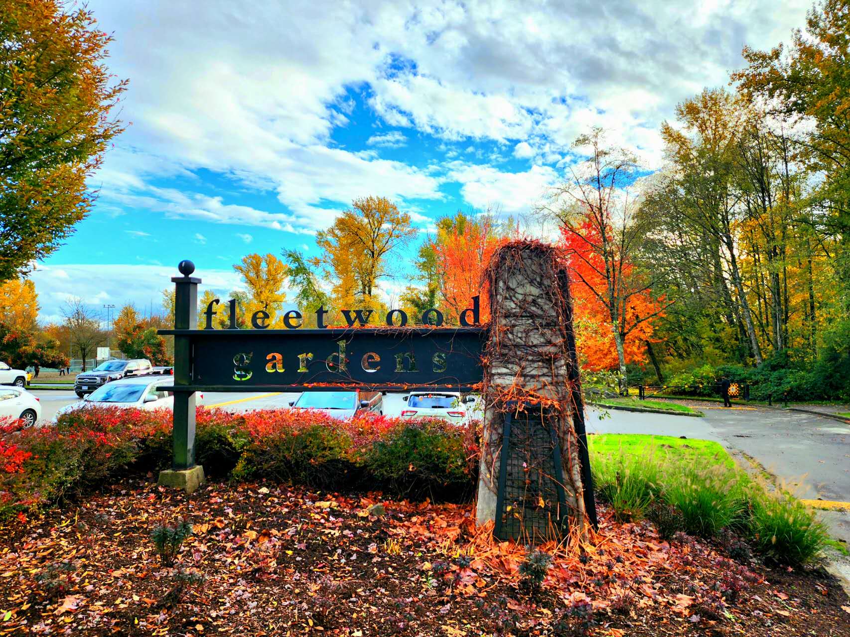 Canadian autumn park